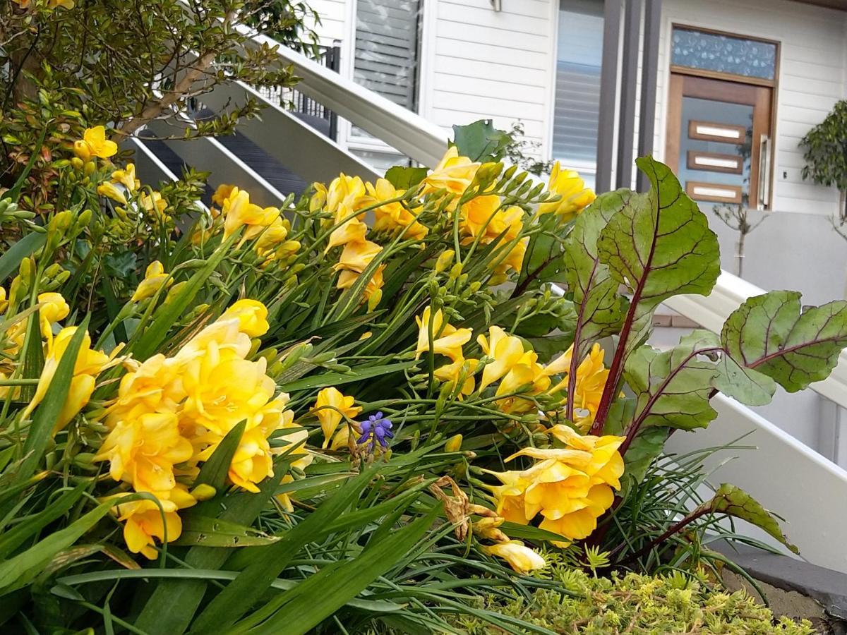 C'Est La Vie Bed & Breakfast Albany Exterior foto
